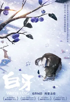 夜色视频一区二区三区
